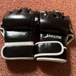 Sparring Gloves