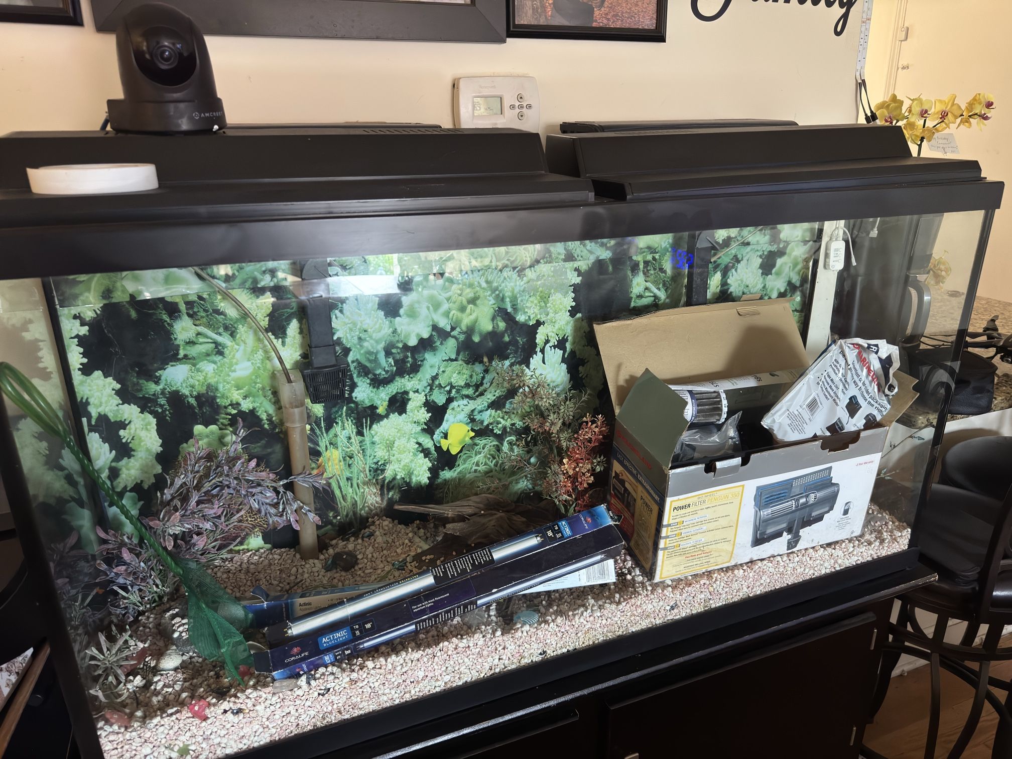 Slightly Used 65 Gallons Aquarium