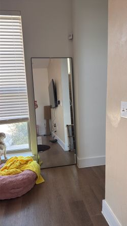 2 black mirrors from Amazon