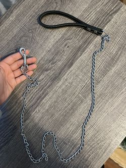 Small Dog Leash 