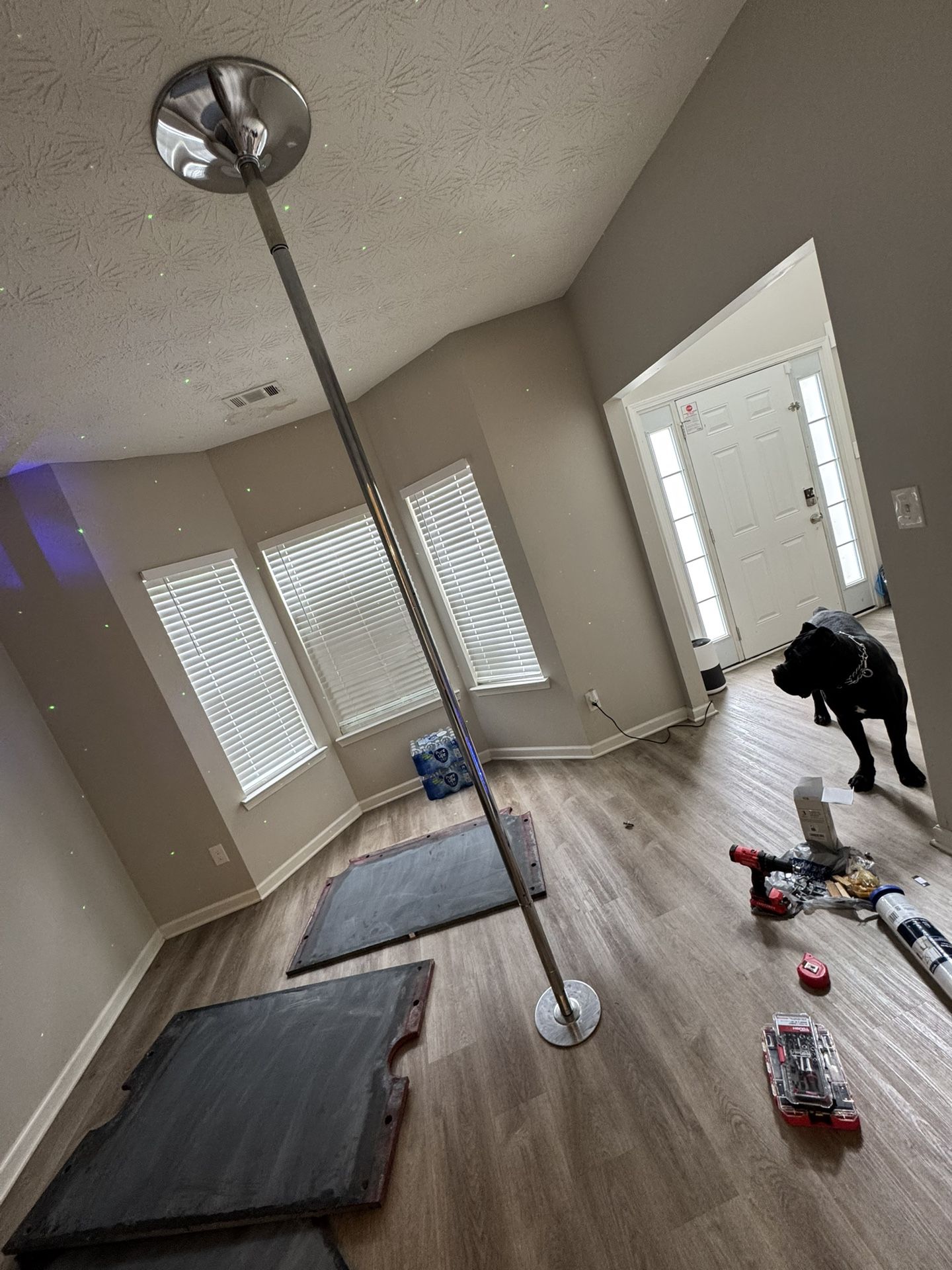 Dance Pole