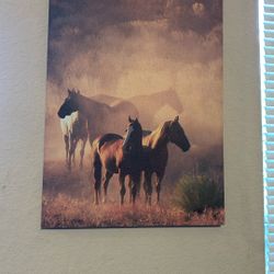 Picture horses