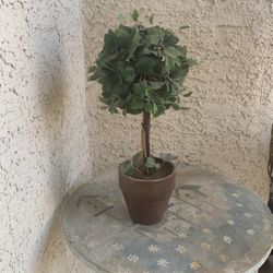 Decorative Mini Topiary