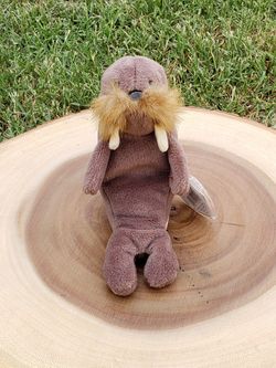 * Ty Beanie Baby - "Jolly" Walrus" 1996 NO TUSH STAR - ULTRA RARE - GEM MINT