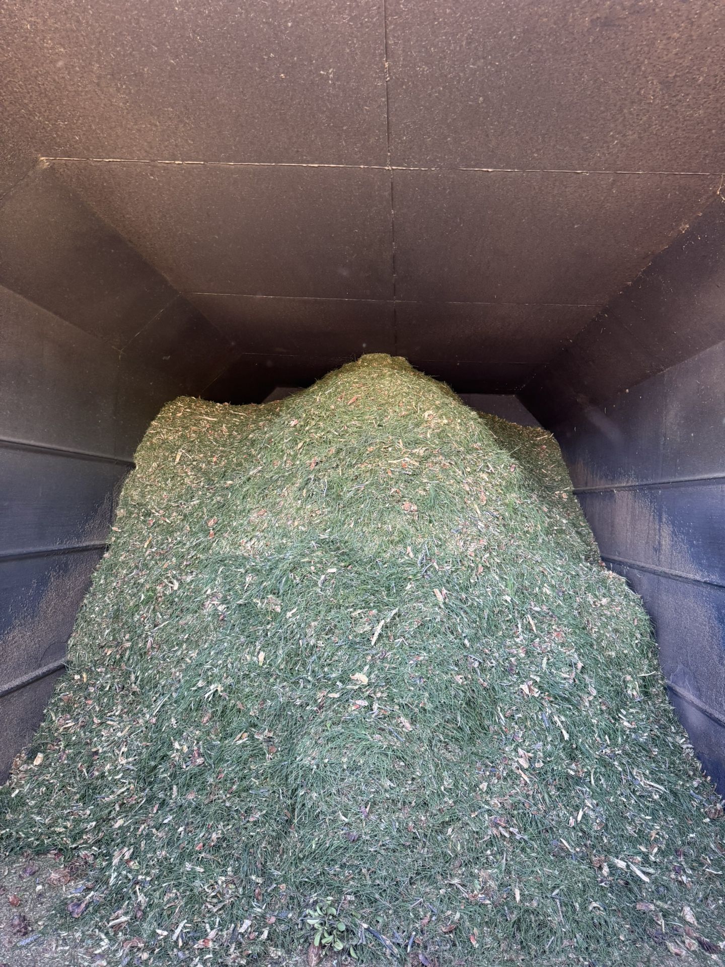 FREE Clean Pine Mulch