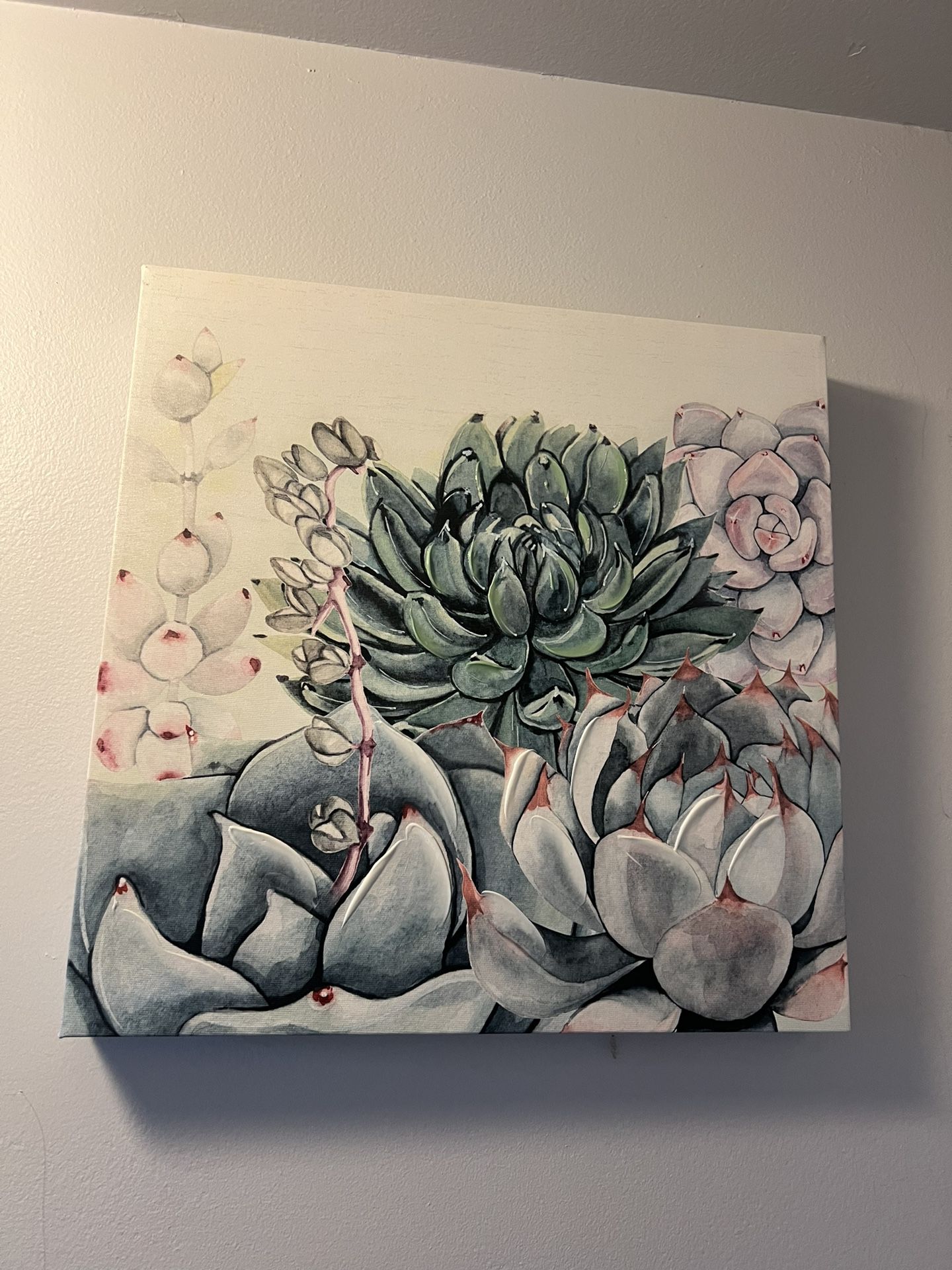 Two Succulent Wall Decor 