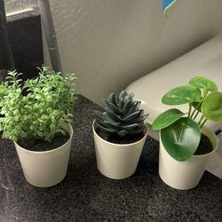 Fake Plants For Decoration