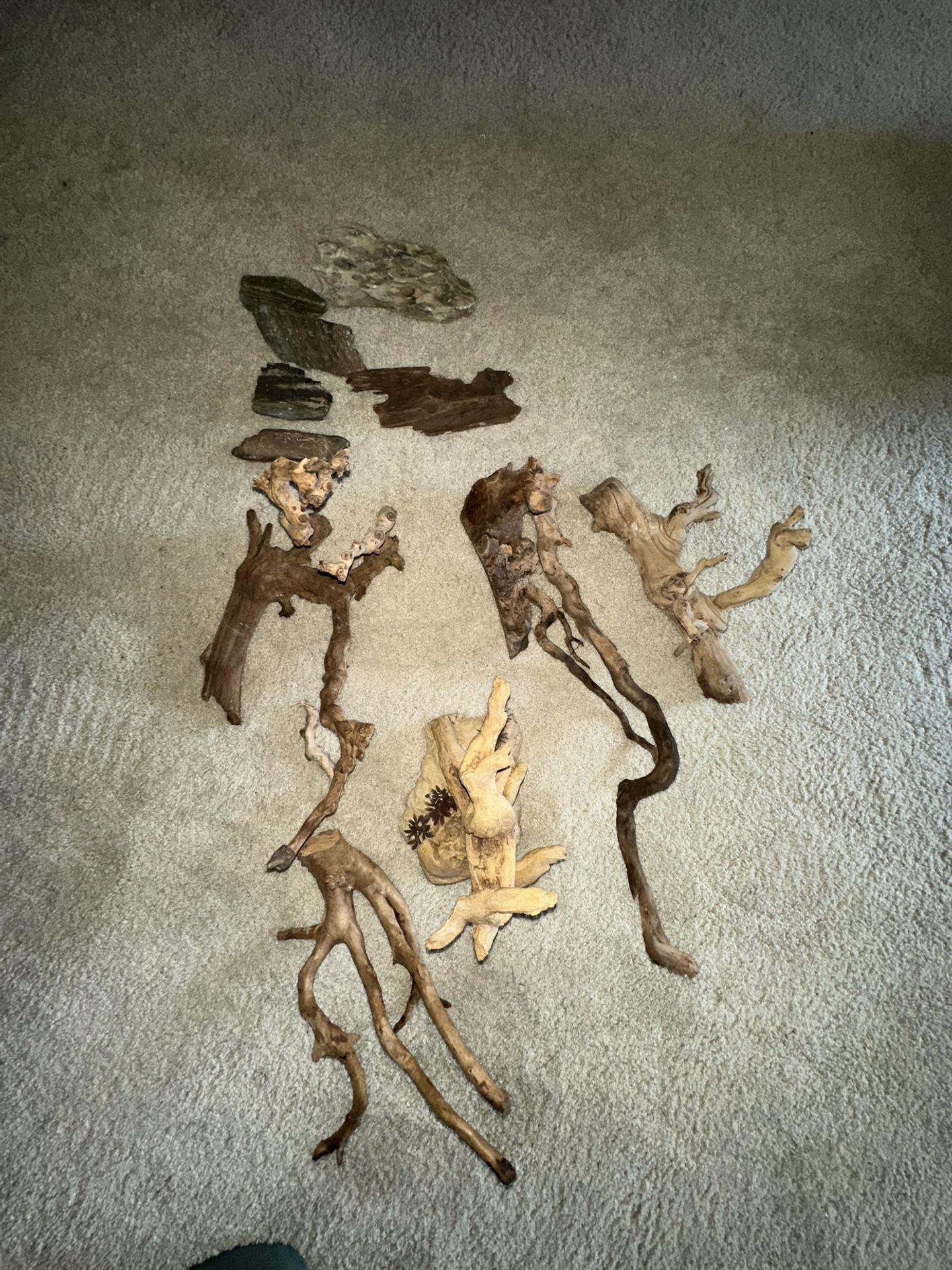 Reptile Supplies 
