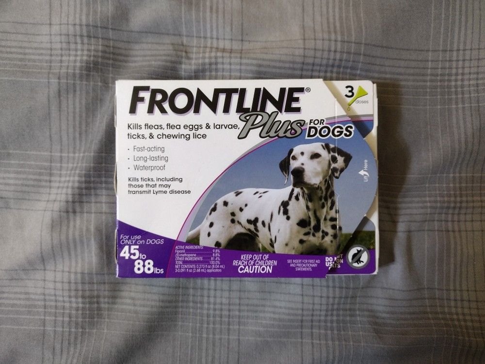 For Dogs