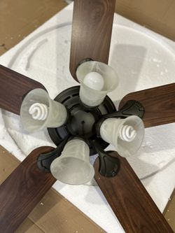 Ceiling Fan