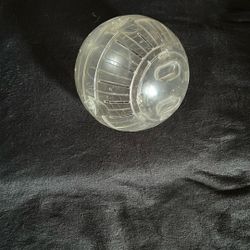 Hamster Ball 