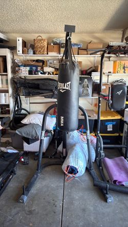 Everlast punching bag