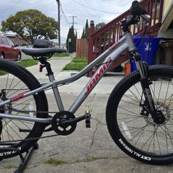 Jamis Mountain Bike 24"Tires 
Excellent Condition Ready to Ride 
