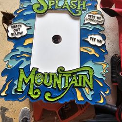 WALT DISNEY SPLASH MOUNTAIN.
 JUST ADD YOUR PICTURE.