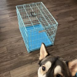 Single Door iCrate Dog Crate