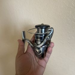 Shimano Nasci Fishing Reel