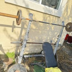 Weight Lifting 🏋🏽‍♀️ Equipment Olympic 