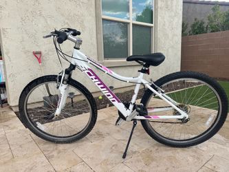 Schwinn High Timber 24” Mountain Bike - White/Pink (OBO)