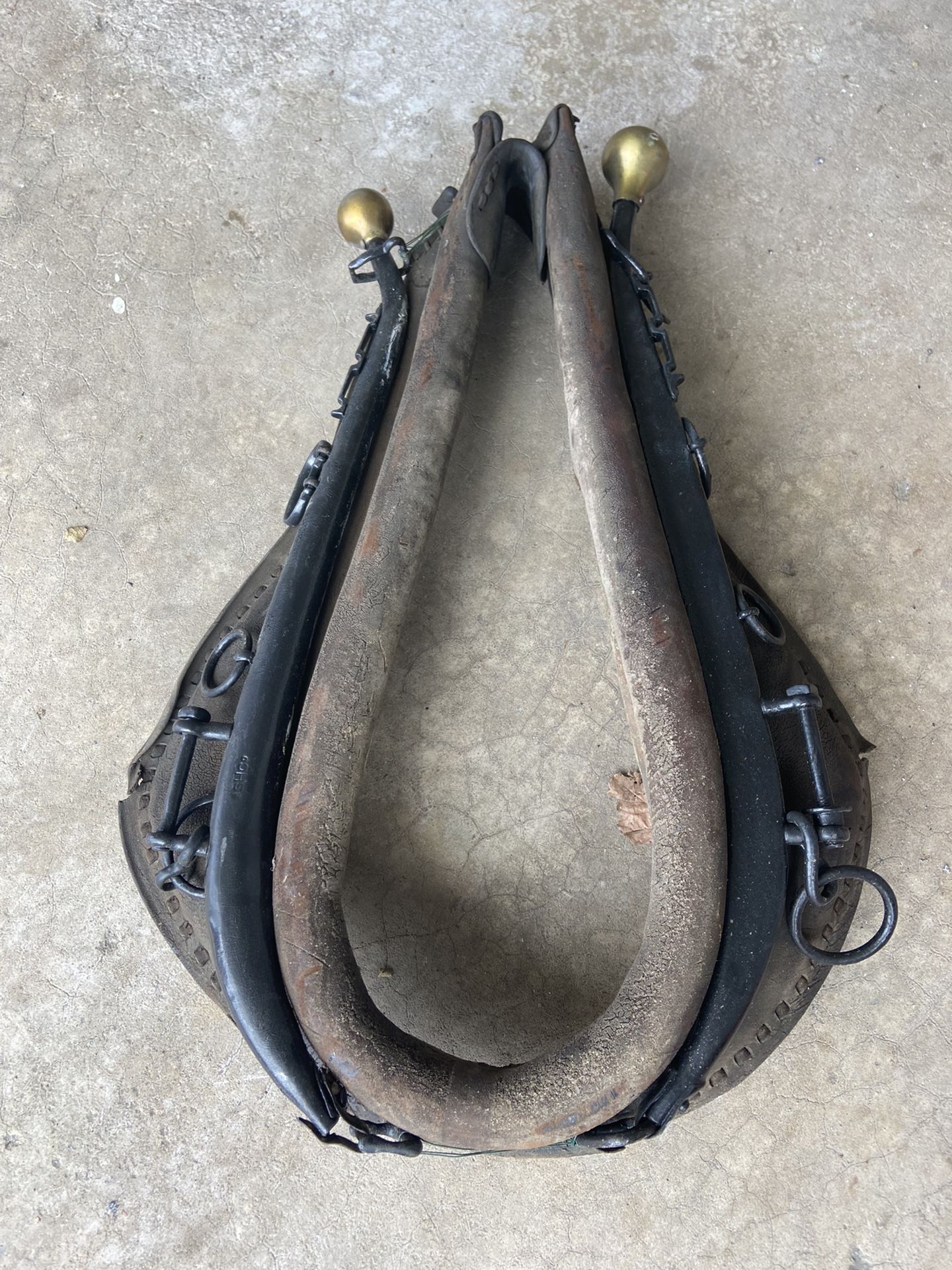 Horse Collar
