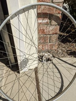 Bike Rims 24"