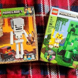 LEGO Minecraft: BigFig Creeper & Skeleton (21156/21150)