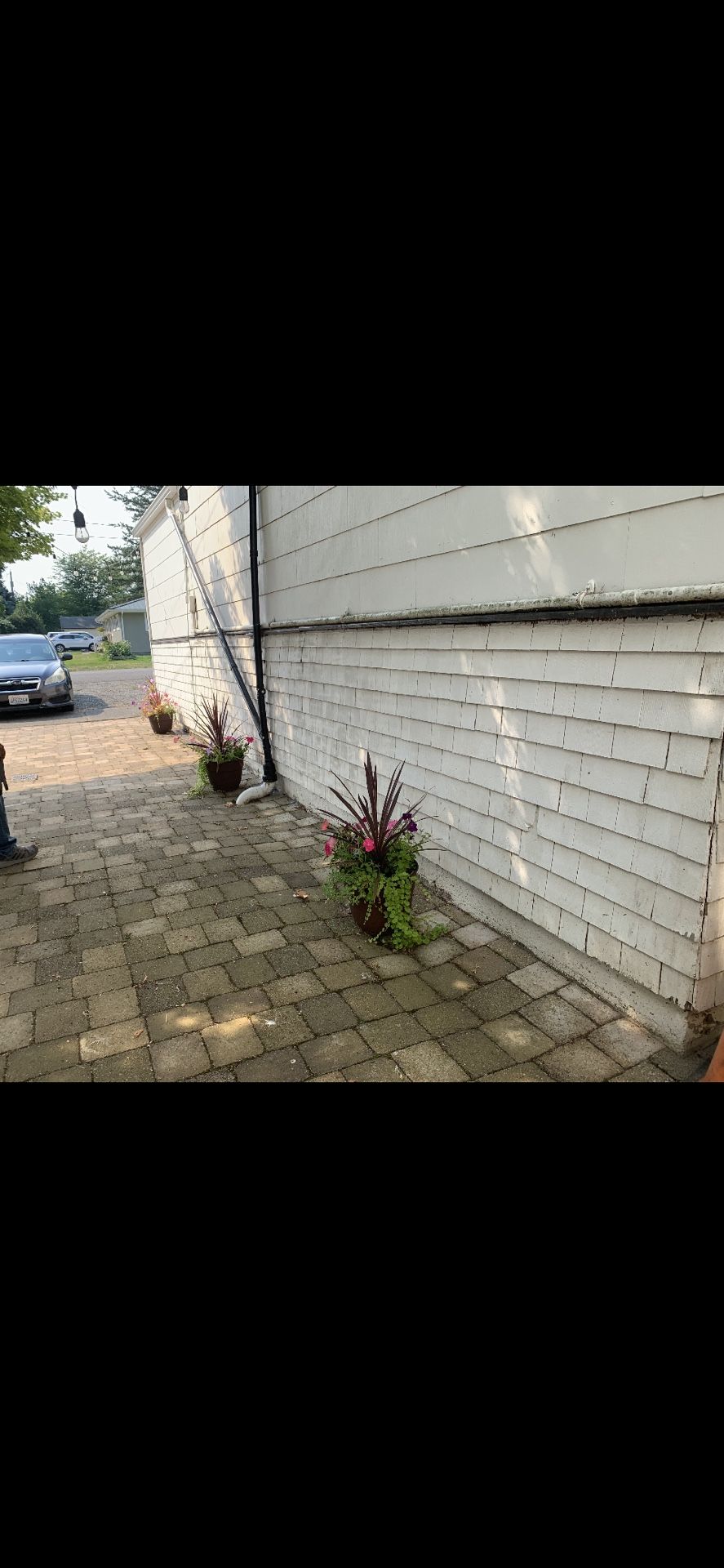 Siding Repair