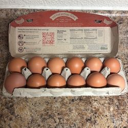 Fresh organic eggs