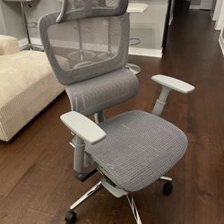 Mesh Ergonomic Office Chair with Footrest