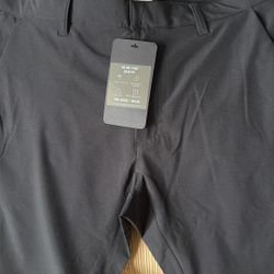 Fabletics Pants