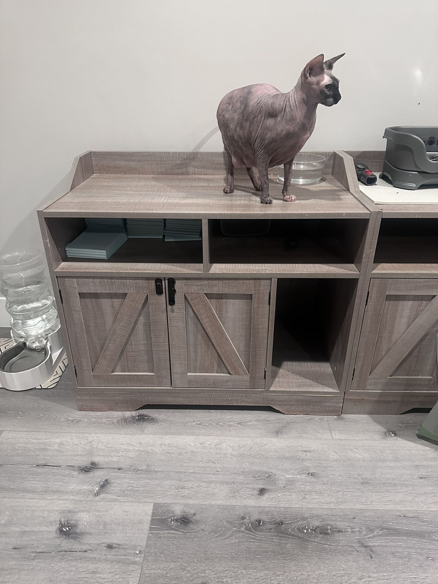 Cat Box Enclosure