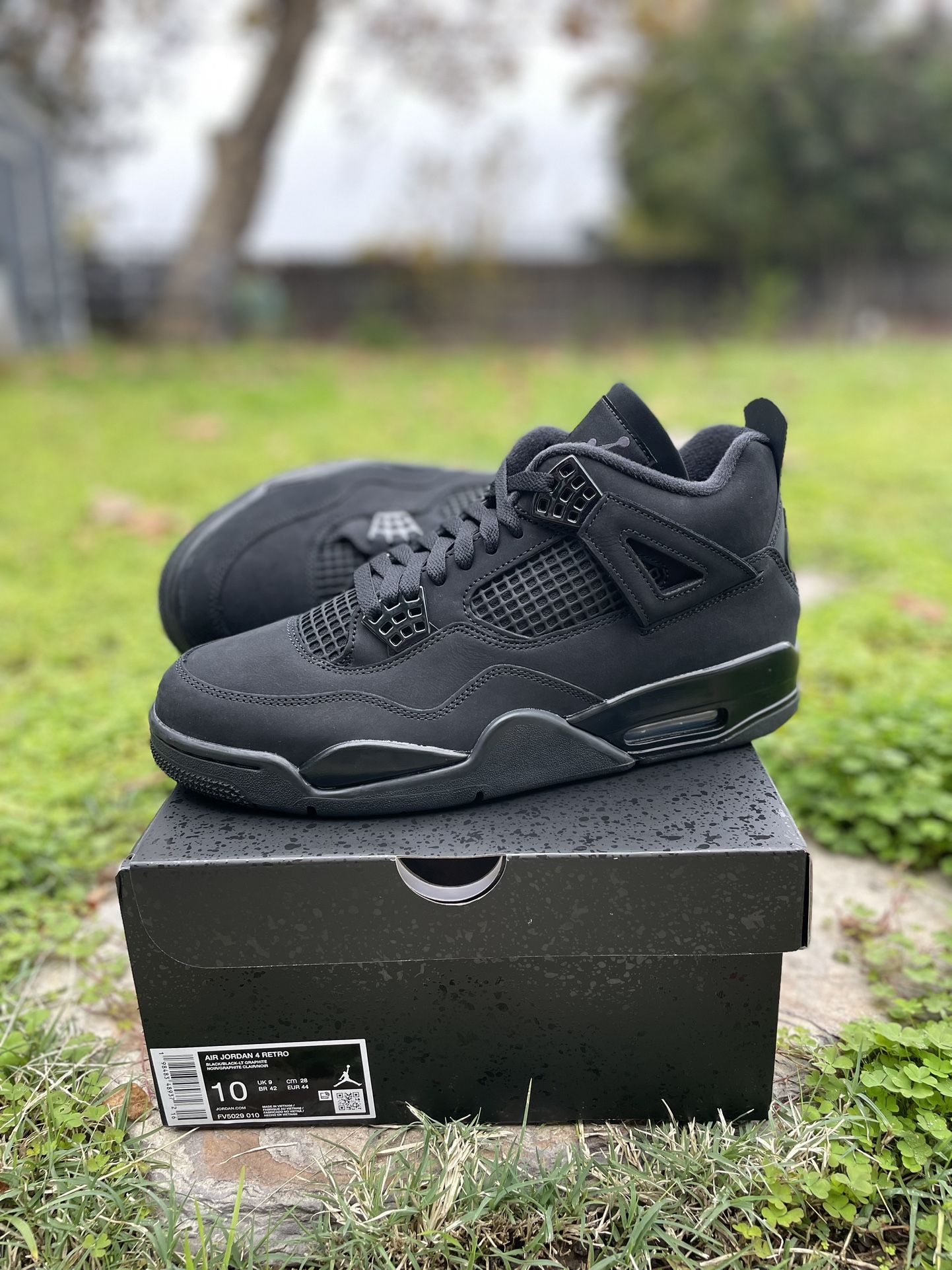 Jordan 4 Black Cat 2025