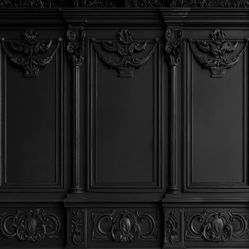 Elegant Black Cloth Backdrop 10X8 LARGE