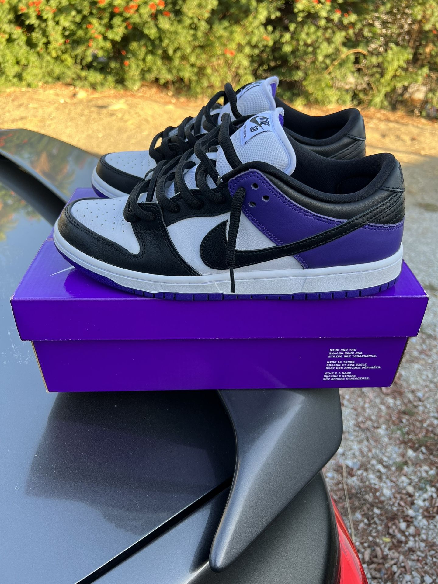 Nike Sb Dunk