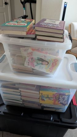 chapter books