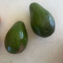 Avocado 