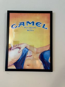 Framed Camel Print