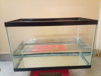 All Glass  Aquarium