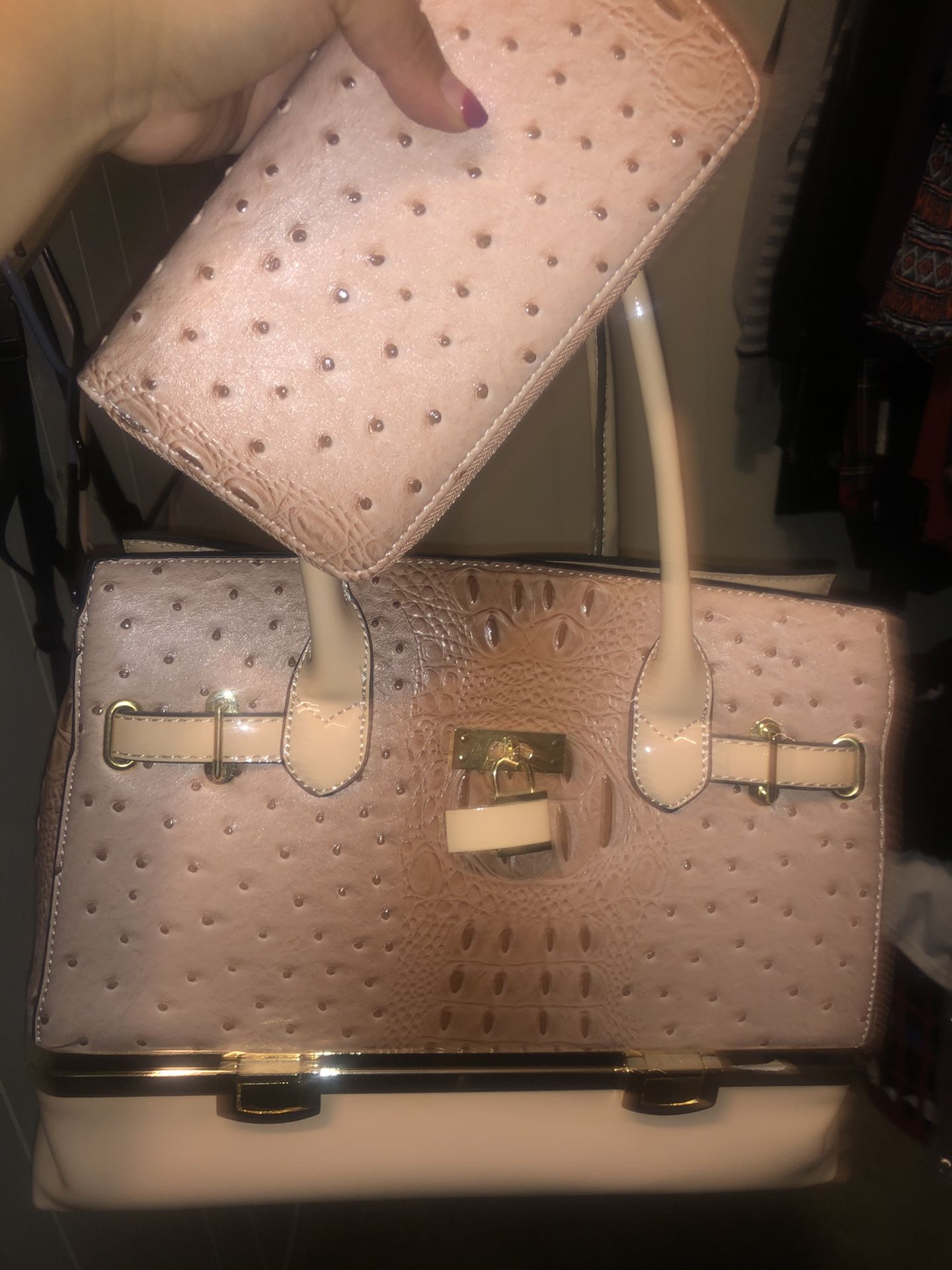 Baby Pink Bag w/wallet