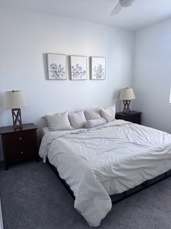NEED GONE TODAY! KING BED SET