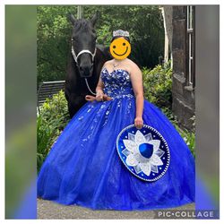 XL Royal Blue Party Dress 