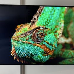 55” Samsung UHD TV with swivel mount