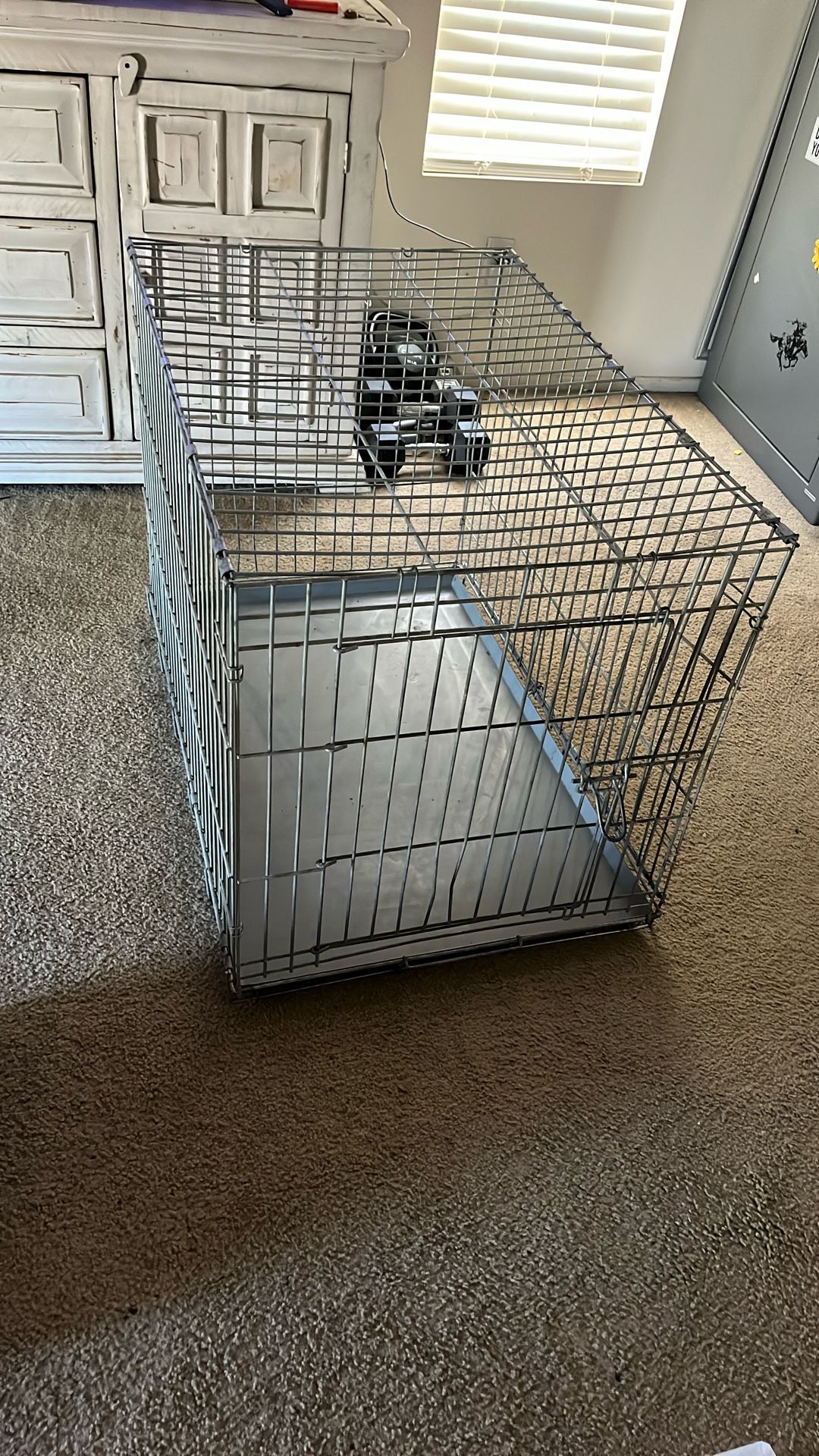 Large Dog Crate