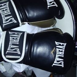 Everest boxing gloves