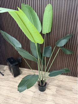 Artificial plants
