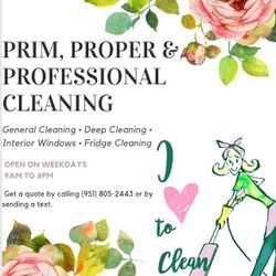Professional Cleaning 
