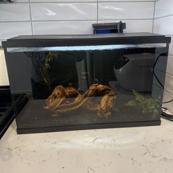 10 Gallon Fish Tank 