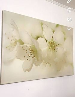 Cherry Blossom Frame