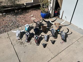 Cow Skulls