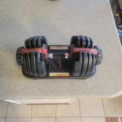 Bowflex Adjustable Dumbbell Only One
