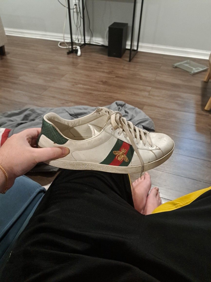 Gucci Shoes
